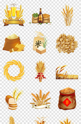 有机黑芝麻 从农田到母婴餐桌的纯净守护