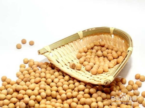 解锁自然本味 老爷岭有机食品的精致烹调指南