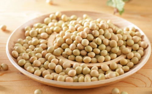 年岁渐长，健康常伴 每日不可或缺的营养食材指南