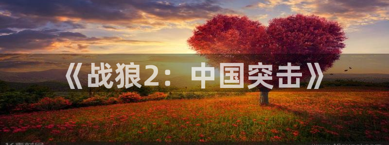 老湿影院t：《战狼2：中国突击》