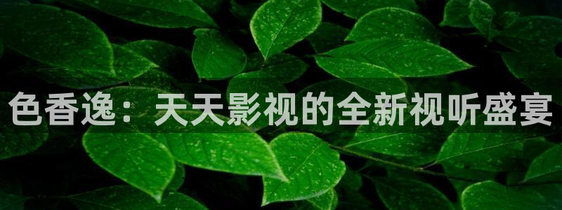 老湿影院成人