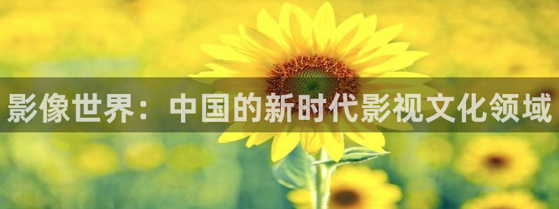 老湿影院48试：影像世界：中国的新时代影视文化领域