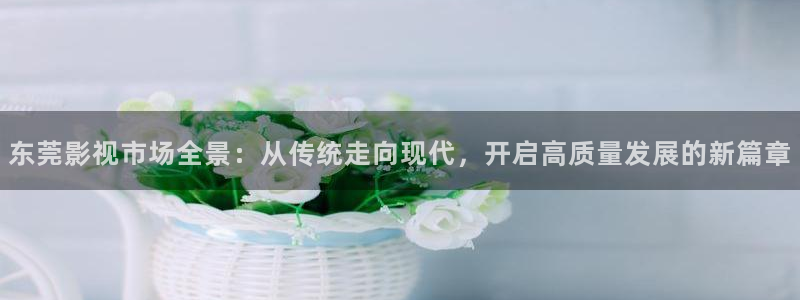 老湿影：东莞影视市场全景：从传统走向现代，开启高质量发展的新篇章