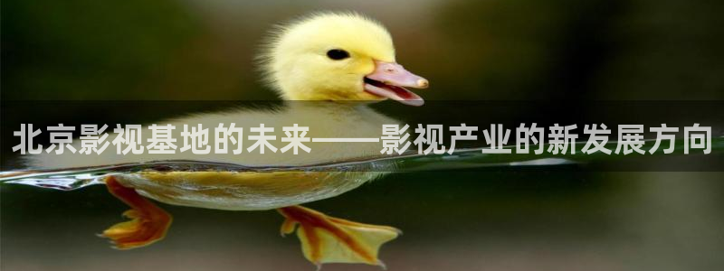 老湿影院污：北京影视基地的未来——影视产业的新发展方向