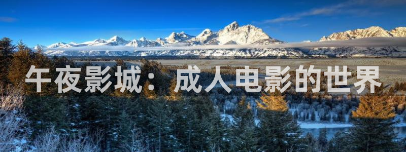 老湿影院动态图：午夜影城：成人电影的世界