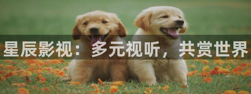老湿激情影院：星辰影视：多元视听，共赏世界