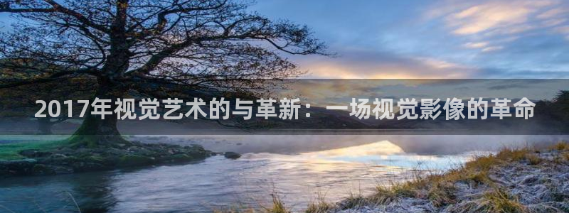 老湿影院18禁：2017年视觉艺术的与革新：一场视觉影像的革命